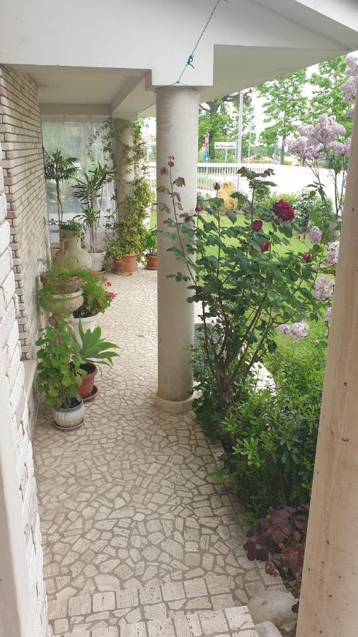 Villa Gioia Rooms Montegranaro Exteriér fotografie