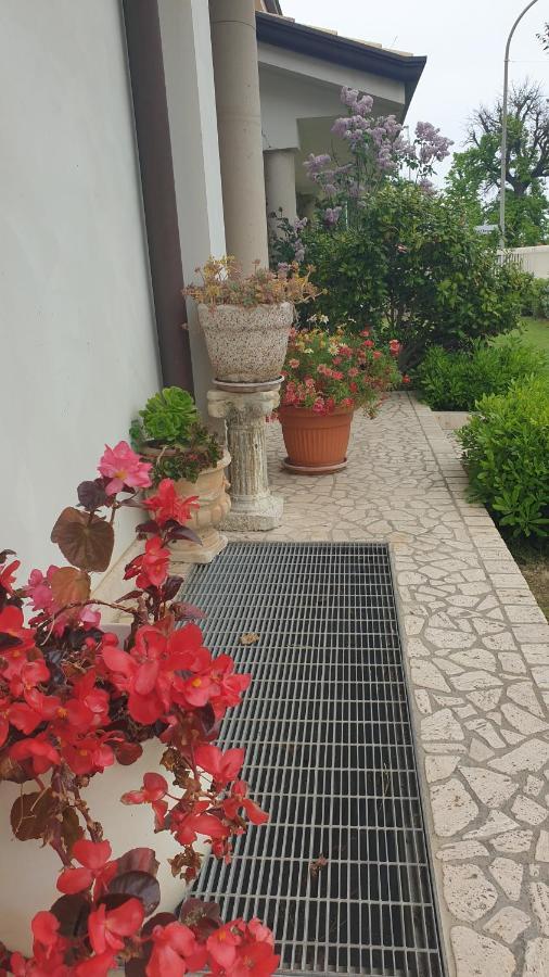 Villa Gioia Rooms Montegranaro Exteriér fotografie