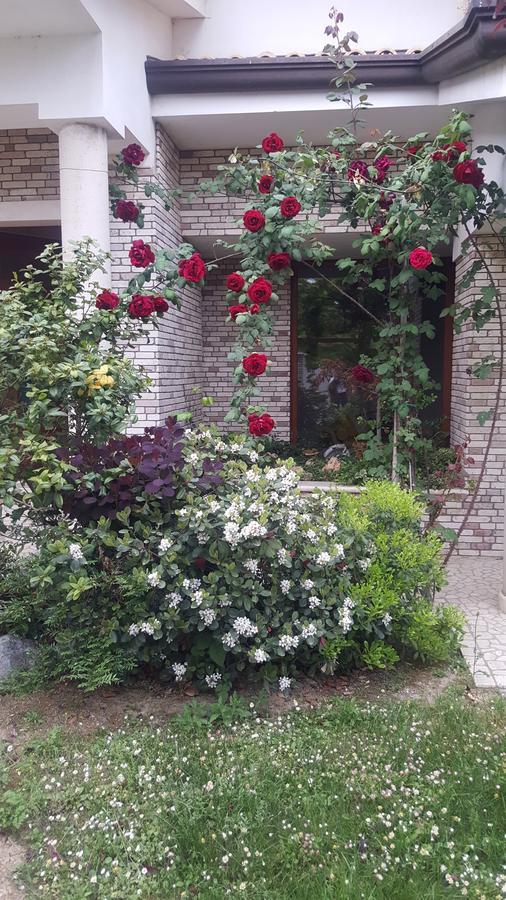Villa Gioia Rooms Montegranaro Exteriér fotografie
