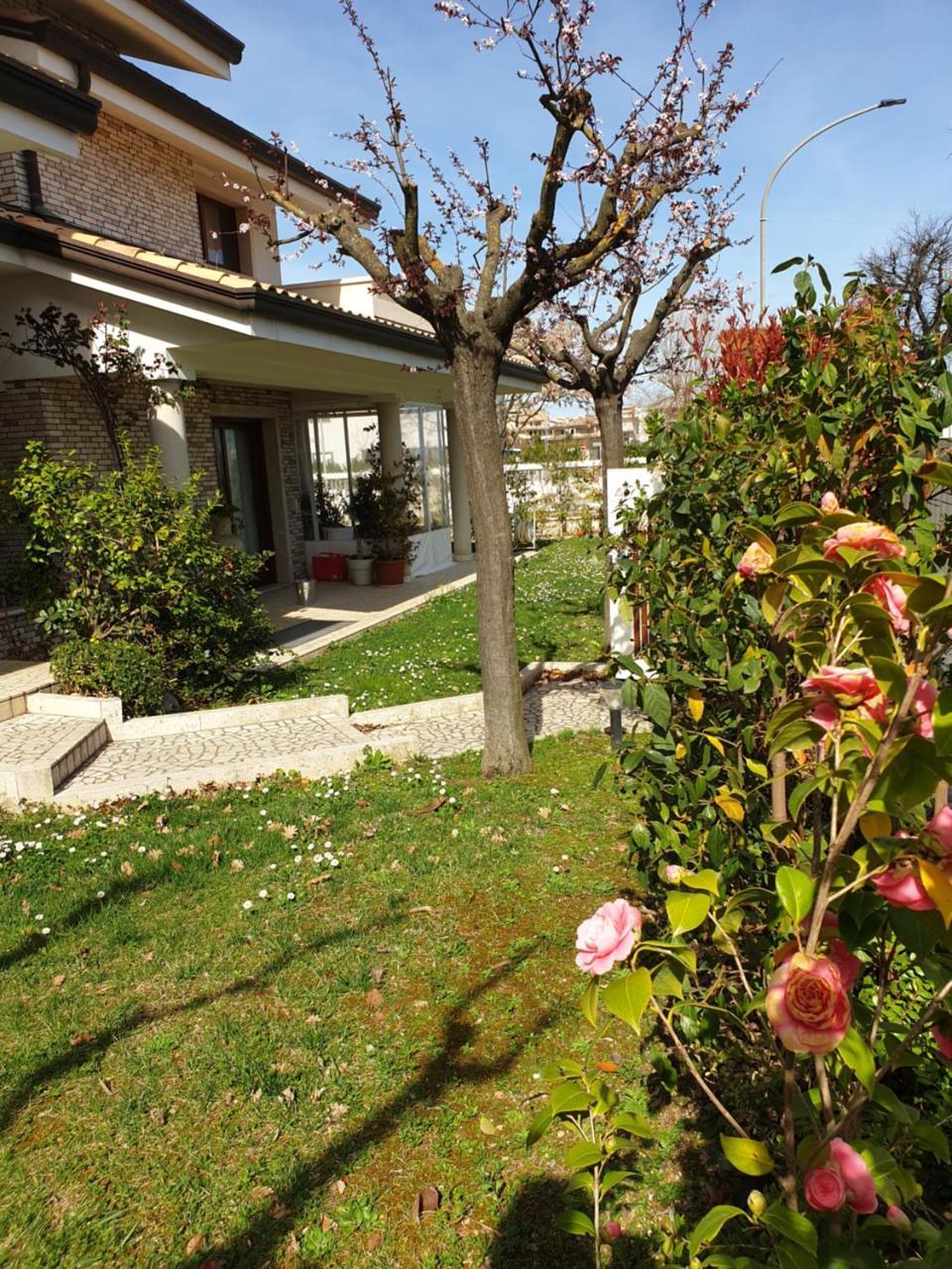 Villa Gioia Rooms Montegranaro Exteriér fotografie